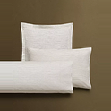 Zarahome Belgium logo